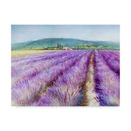 Li Bo 'Lavender 3' Canvas Art,18x24